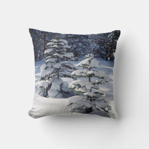 Coussin Californie, Sierra Nevada Mounts 8