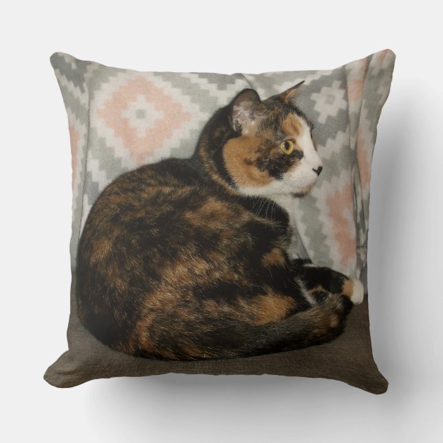 Coussin Callie Cat sur Sofa (Recto)