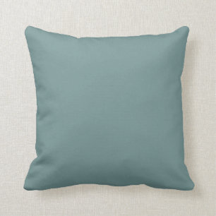 Coussin Calmé Aquamarine bleu-vert couleur solide SW 0020