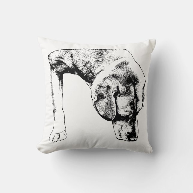 Coussin calme, Curieux Pup (Recto)