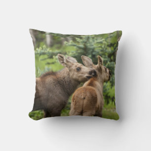 Coussin Calves d'orignal