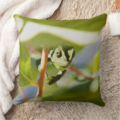 Coussin Caméléon secret (Couverture)