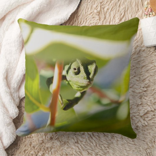Coussin Caméléon secret (Couverture)