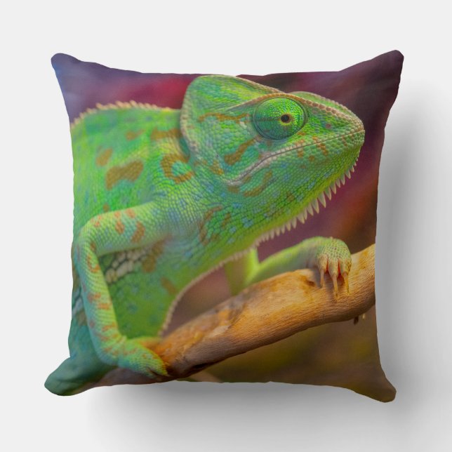 Coussin Caméléon vert (Recto)