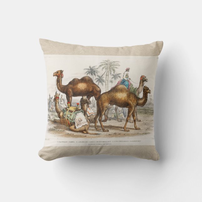 Coussin Camels of India Illustration Vintage, 1820 (Recto)