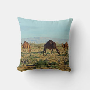 Coussin Camels, Tunisie