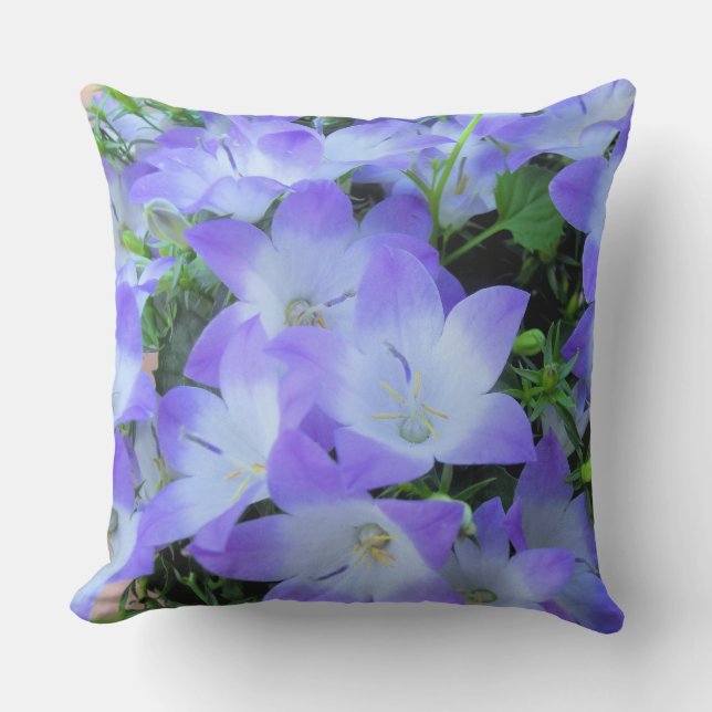 Coussin Campanula violet blanc Bellflowers Photographie (Recto)