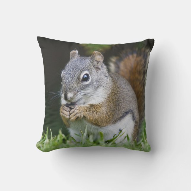 Coussin Canada, Colombie-Britannique, Pin Écureuil roux (Recto)