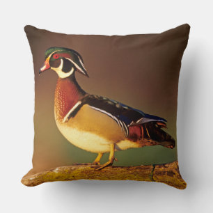 Coussin Canard branchu mâle, Illinois