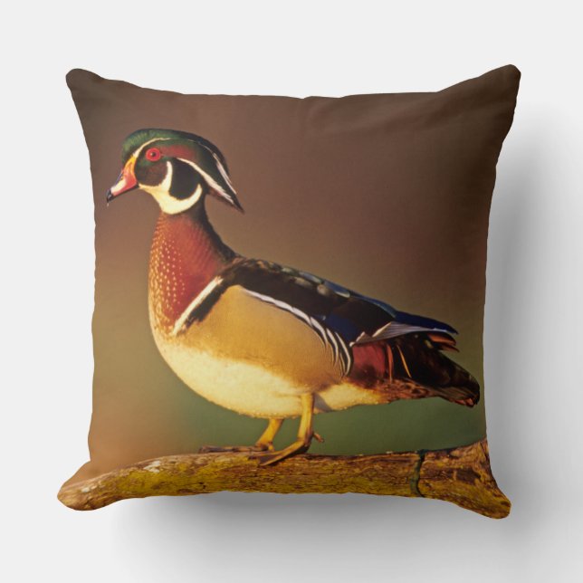 Coussin Canard branchu mâle, Illinois (Recto)