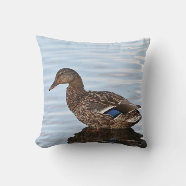 Coussin Canard de Mallard (Recto)