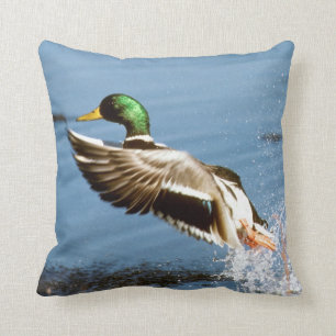 Coussin Canard de Mallard Drake