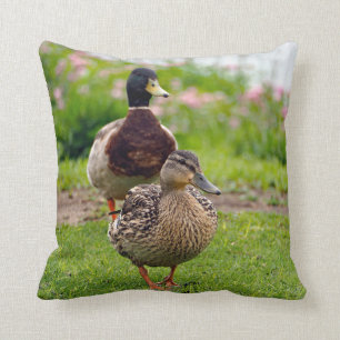 Coussin Canard Mallard Pair