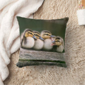 Coussin Canards de bébé (Couverture)