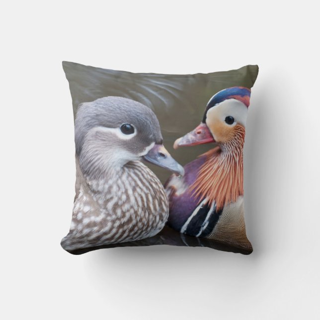 Coussin Canards de mandarine sur le carreau (Recto)