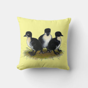 Coussin Canetons suédois noirs