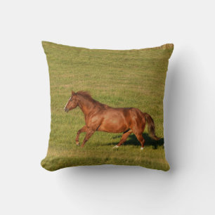 Coussin Cantonnement, Courir Chestnut Horse Equine Photo