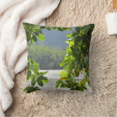 Coussin Capsule de tribulation du cap (Couverture)