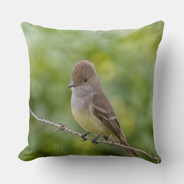 Coussin Capteur (Recto)