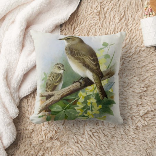 Coussin Capteurs de vol, Illustration artistique (Couverture)