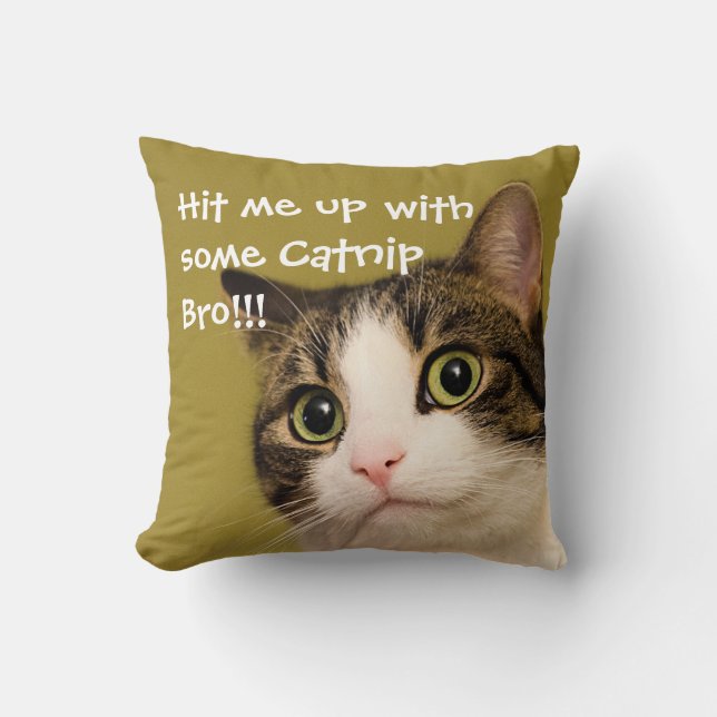 Coussin Capture de capture photo de chat amusant (Recto)