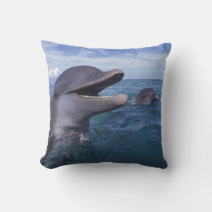 Coussin Caraïbes, Grand dauphin