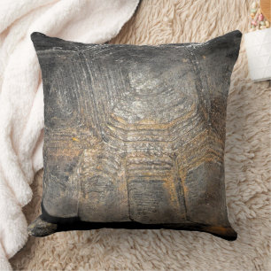 Coussin Carapace de Tortue Gopher