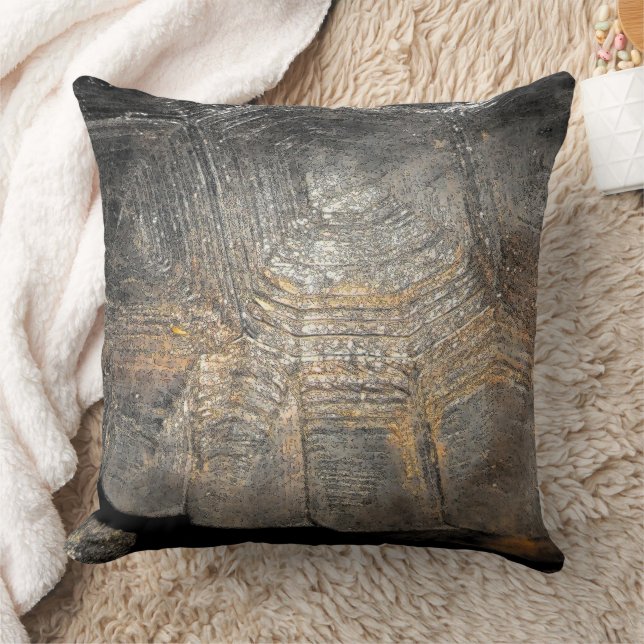 Coussin Carapace de Tortue Gopher (Couverture)