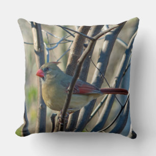 Coussin Cardinal féminin