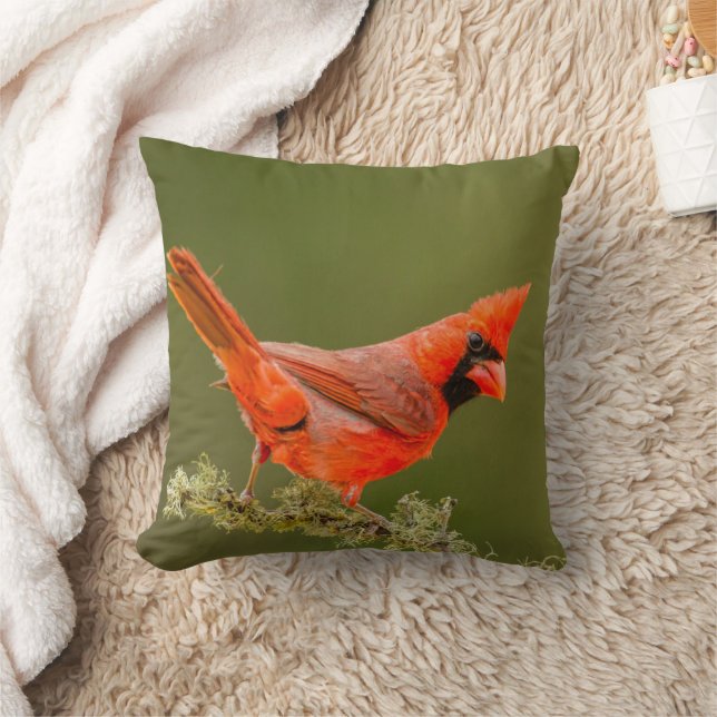 Coussin Cardinal mâle sur une branche (Couverture)