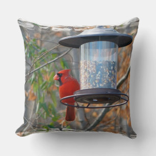 Coussin Cardinal masculin