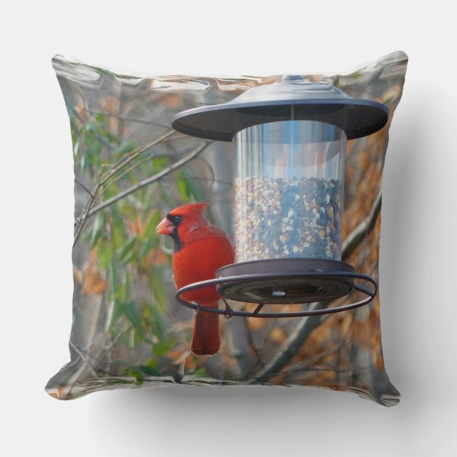 Coussin Cardinal masculin (Recto)