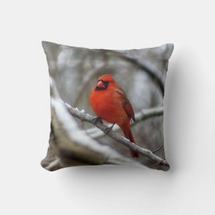 Coussin Cardinal masculin