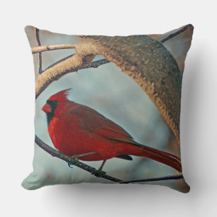 Coussin Cardinal masculin de joli garçon