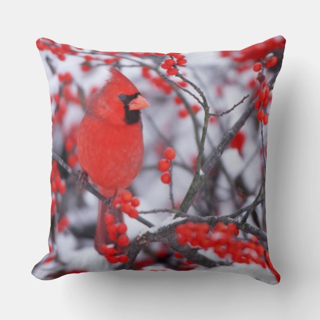 Coussin Cardinal rouge mâle, Hiver, IL (Recto)