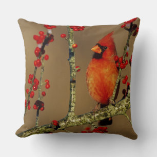 Coussin Cardinal rouge mâle perché, IL