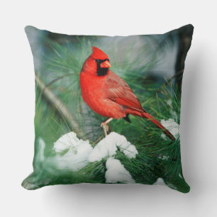 Coussin Cardinal rouge mâle sur un arbre, IL