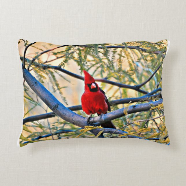 Coussin cardinal "visiteur de ciel " (Devant)