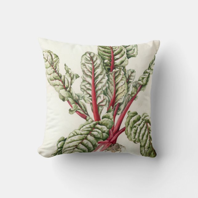 Coussin Cardon 1992 de rhubarbe (Recto)
