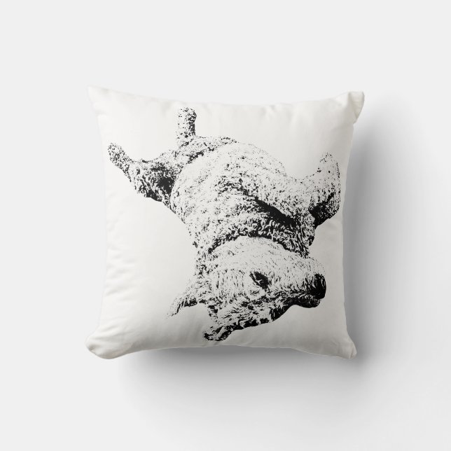 Coussin Carefree Belly rit (Recto)