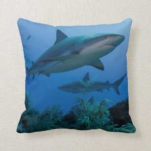 Coussin Caribbean Reef Shark