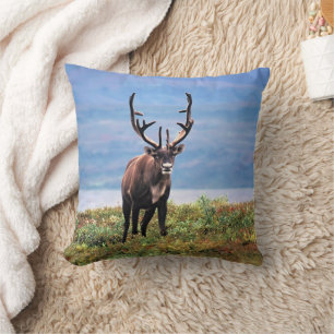 Coussin Caribou ou renne Parc national de Denali, Alaska