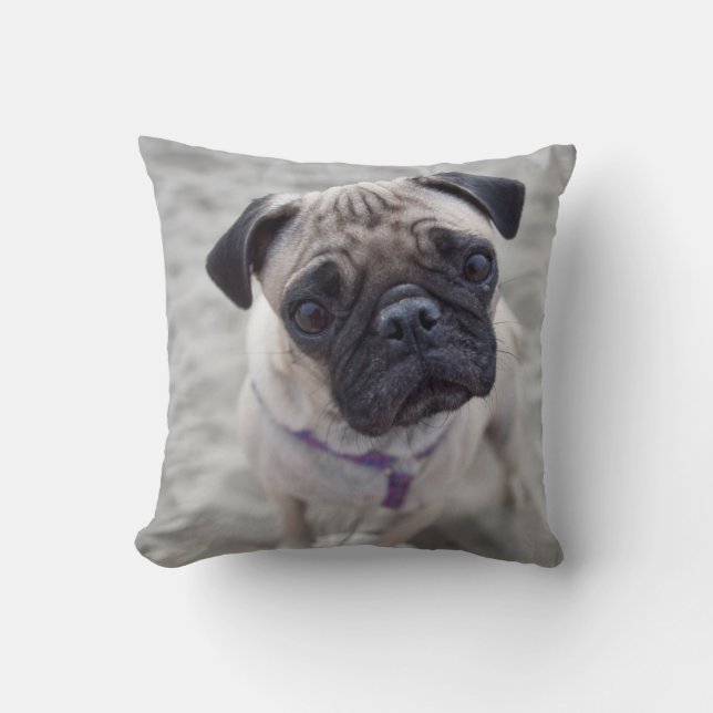 Coussin Carlin (Recto)