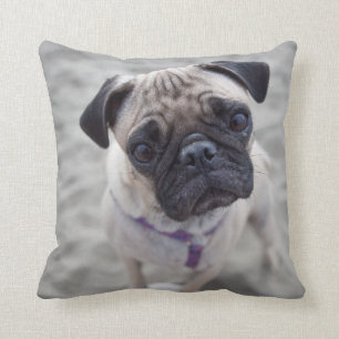 Coussin Carlin