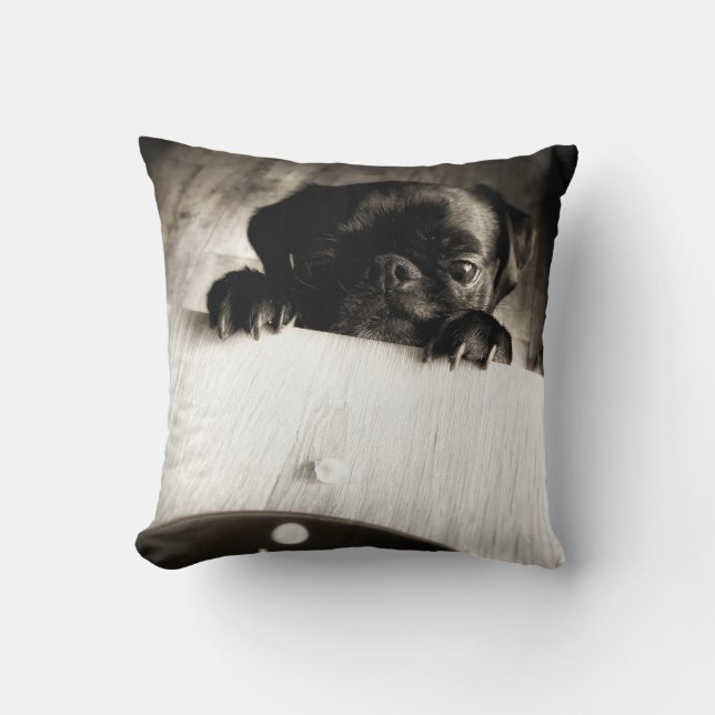 Coussin carlin à regarder en bw (Recto)
