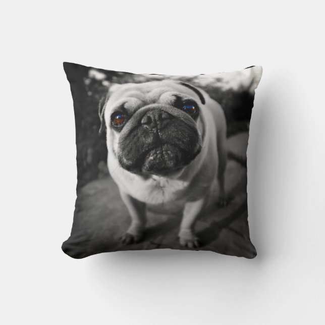 Coussin Carlin beau (Recto)