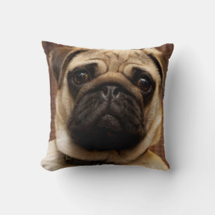 Coussin Carlin Chien Chien de Chien de Chien de Chien de J