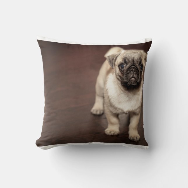 Coussin carlin-chiot dans la sépia (Recto)