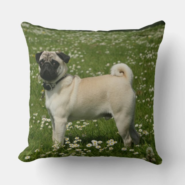 Coussin Carlin jouant en fleurs (Recto)