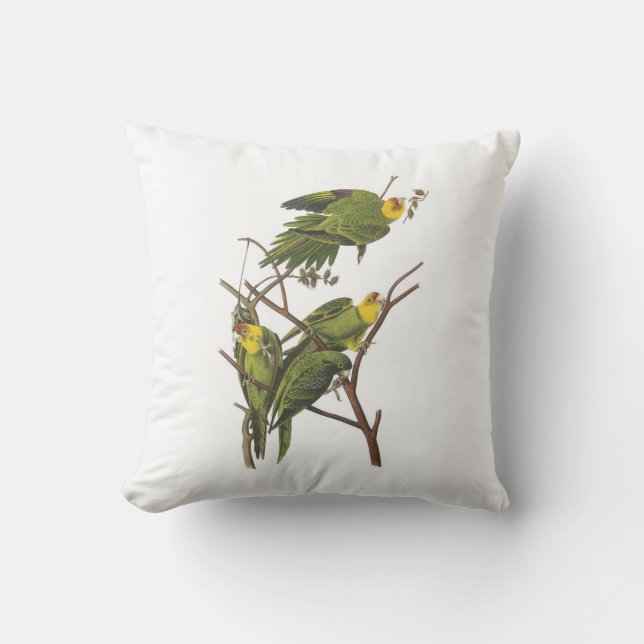 Coussin Carolina Parakeet par Audubon (Recto)